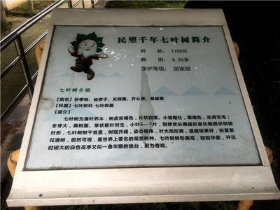喻福喜：云湖边上的紫砂陶刻家