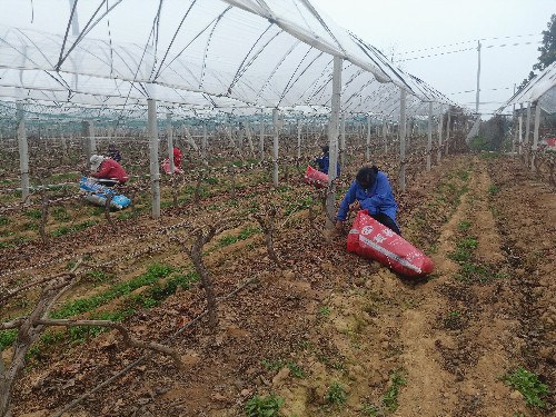 河南南阳市宛城区: “造血式”帮扶增强企业扶贫能力