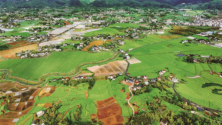 农业绿色转型助力美丽中国建设(图2)