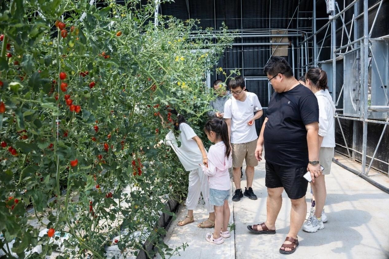 从“会种菜”迈向“慧种菜”(图3)