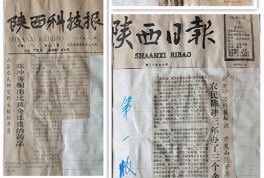 百度: 中药提取物 陈冲