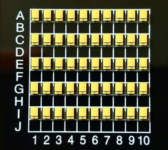 6401.jpg