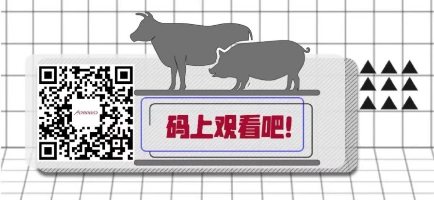 安迪苏稳抓防疫生产 守护食品行业关键环节