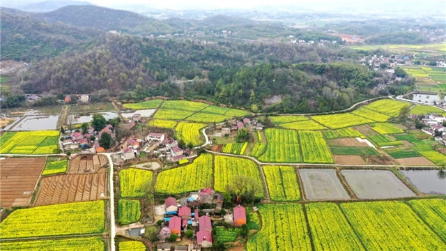 让农业农村投资“火”起来