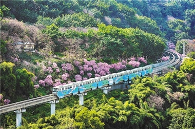 增林扩绿守护碧水青山