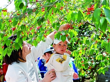 村企携手村民富
