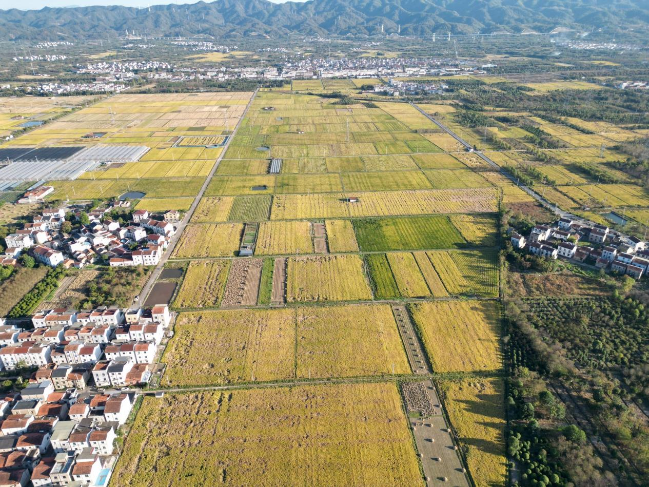 1732612041900819.png 82b0a4f195bf8e4dfaa5069ccedd242.png