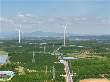 江西新余：彩虹路百姓致富路