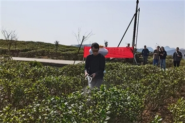 贵州大学教授金智超：做接地气的科研 助绿色农药发展