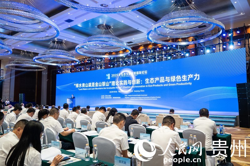 论坛现场。人民网 阳茜摄
