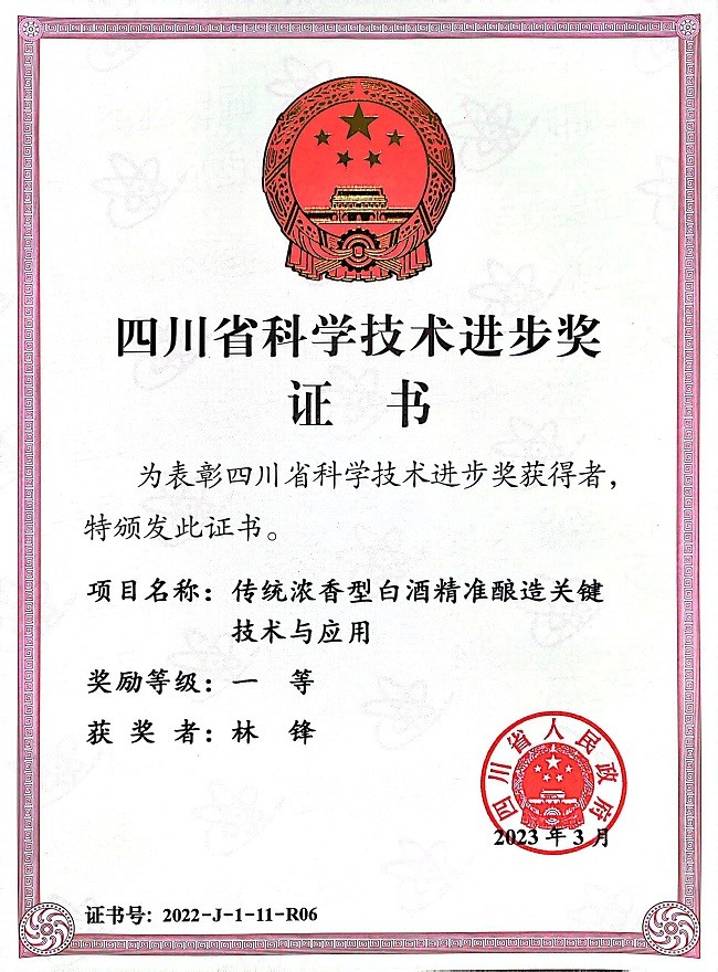 四川省科技进步奖_林锋(1).jpg
