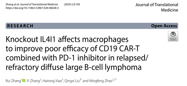创新CAR-T疗法潜在新靶点发现:博雅生命研究成果登上国际期刊
