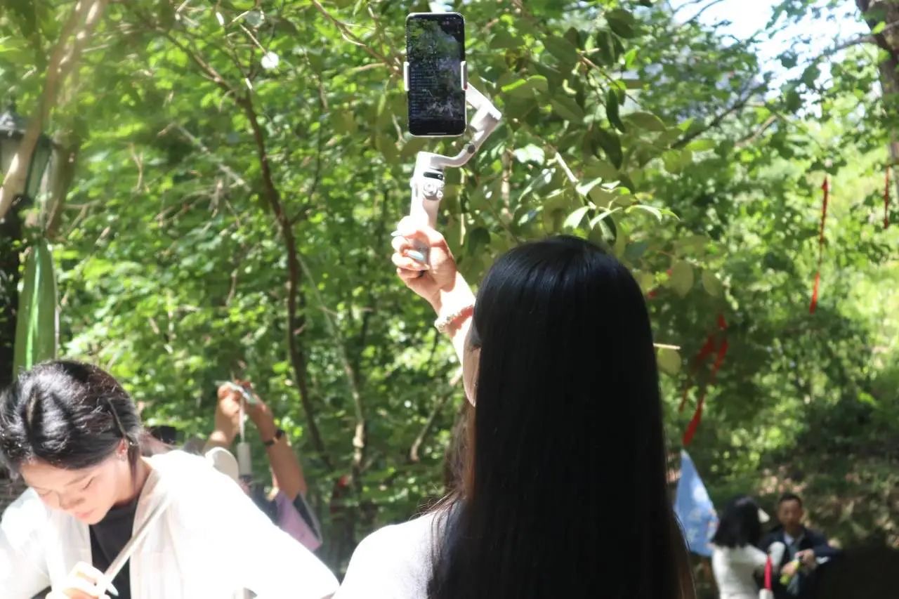 图片1(14).jpg 图片1(14).jpg